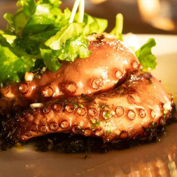 Grilled Octopus